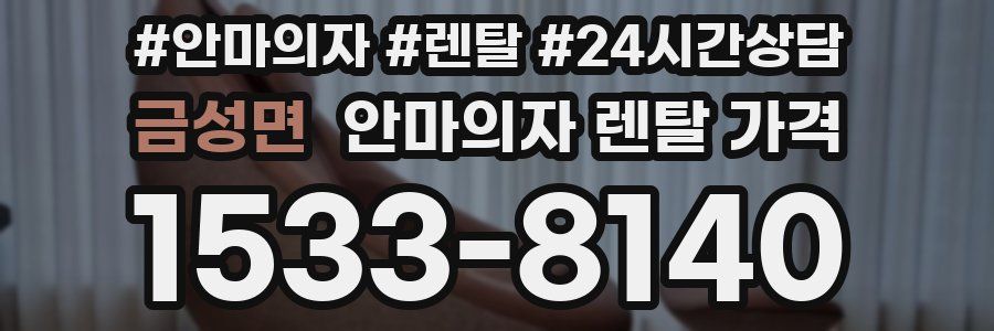 금성면 안마의자 렌탈 가격