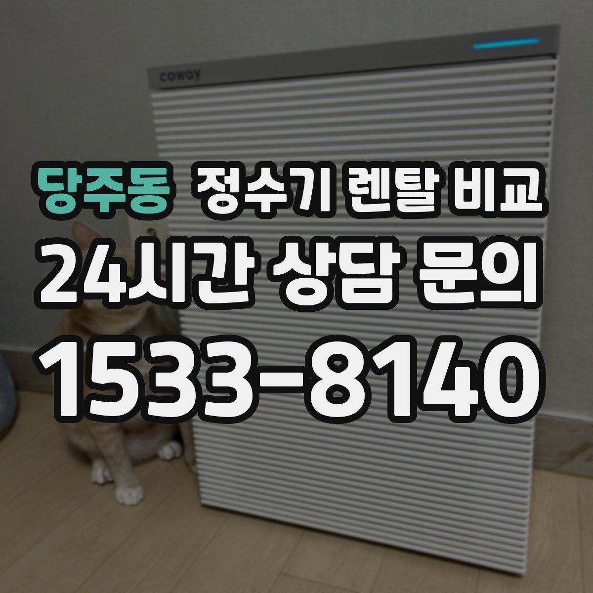 당주동 정수기 렌탈 비교