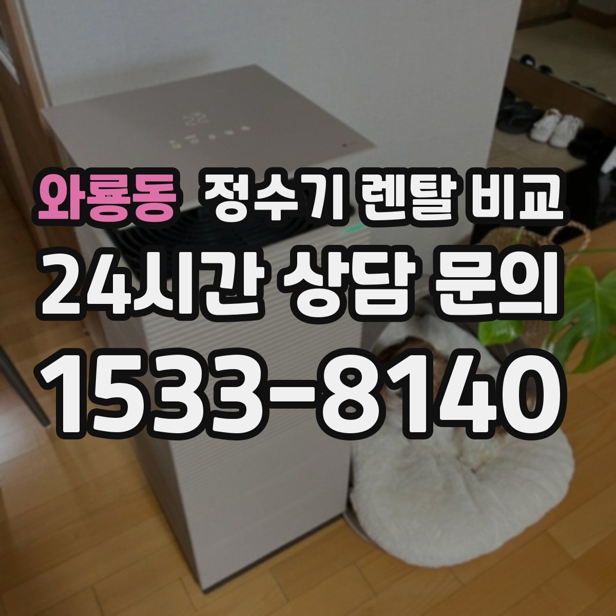 와룡동 정수기 렌탈 비교