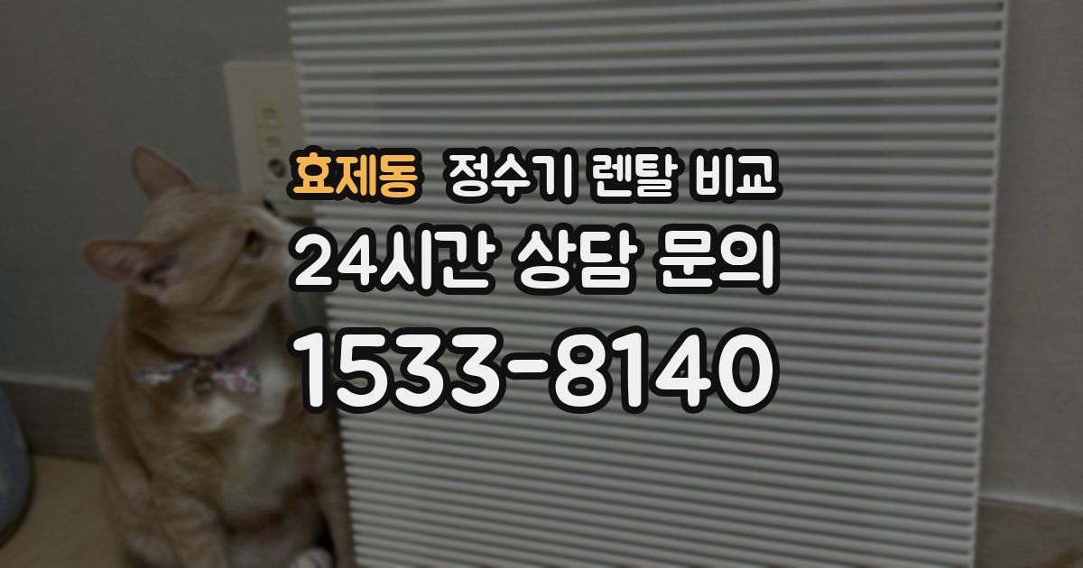 효제동 정수기 렌탈 비교