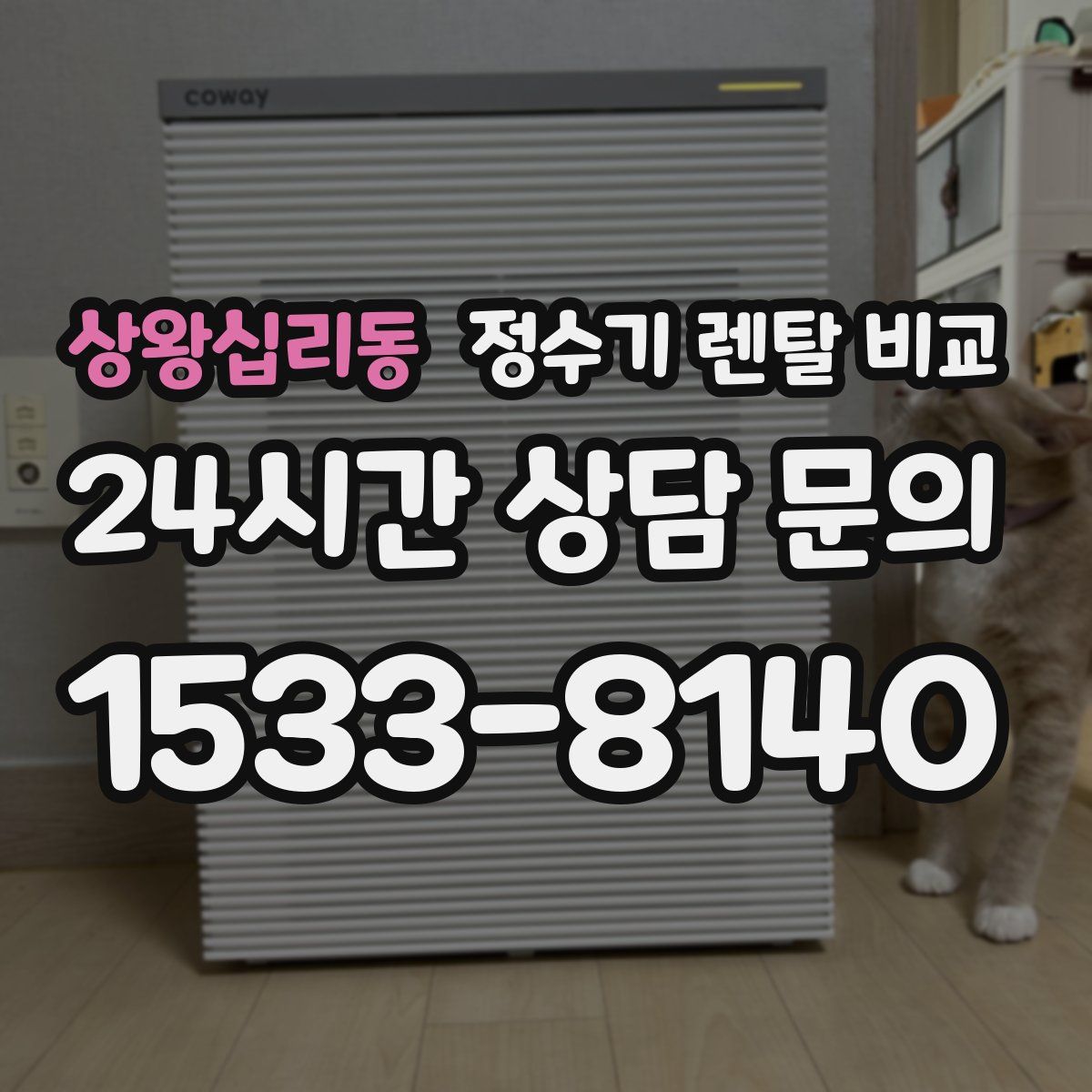 상왕십리동 정수기 렌탈 비교