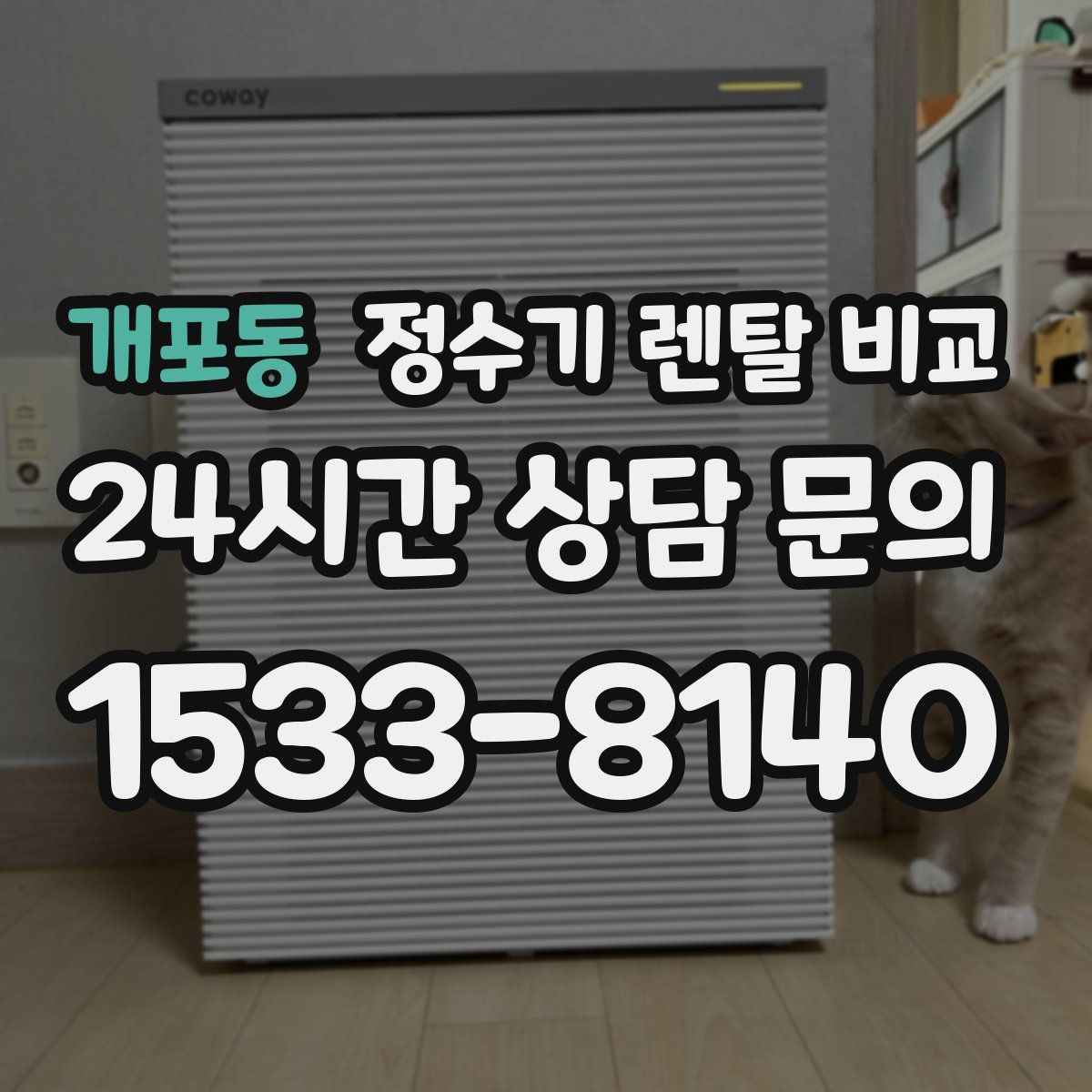 개포동 정수기 렌탈 비교