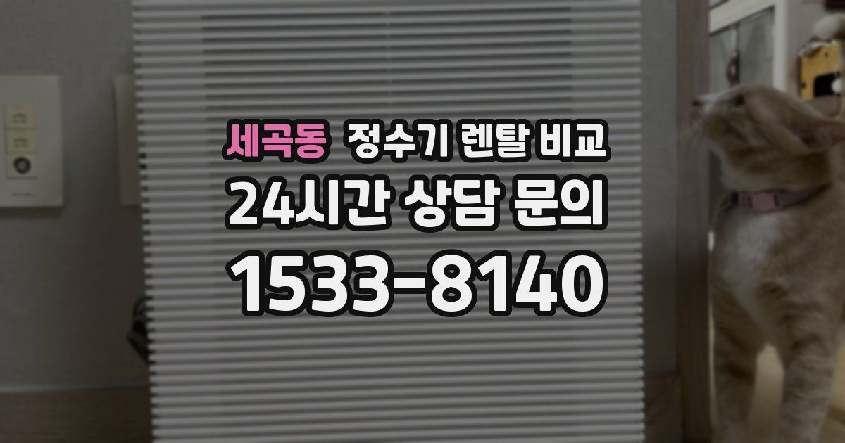 세곡동 정수기 렌탈 비교