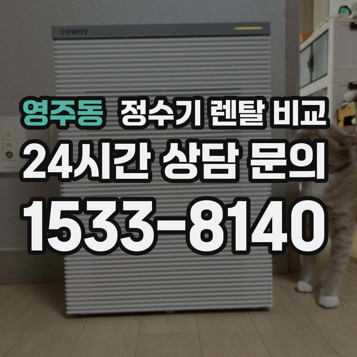 영주동 정수기 렌탈 비교
