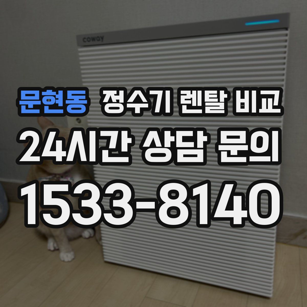 문현동 정수기 렌탈 비교