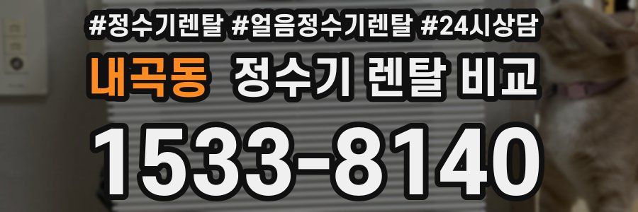 내곡동 정수기 렌탈 비교