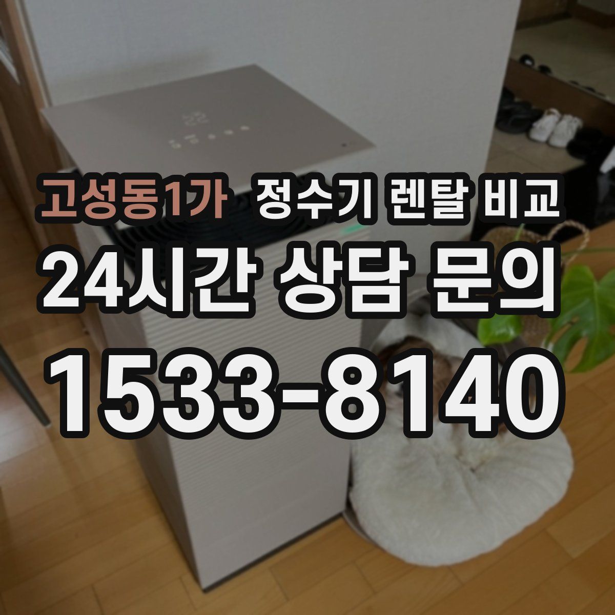 고성동1가 정수기 렌탈 비교