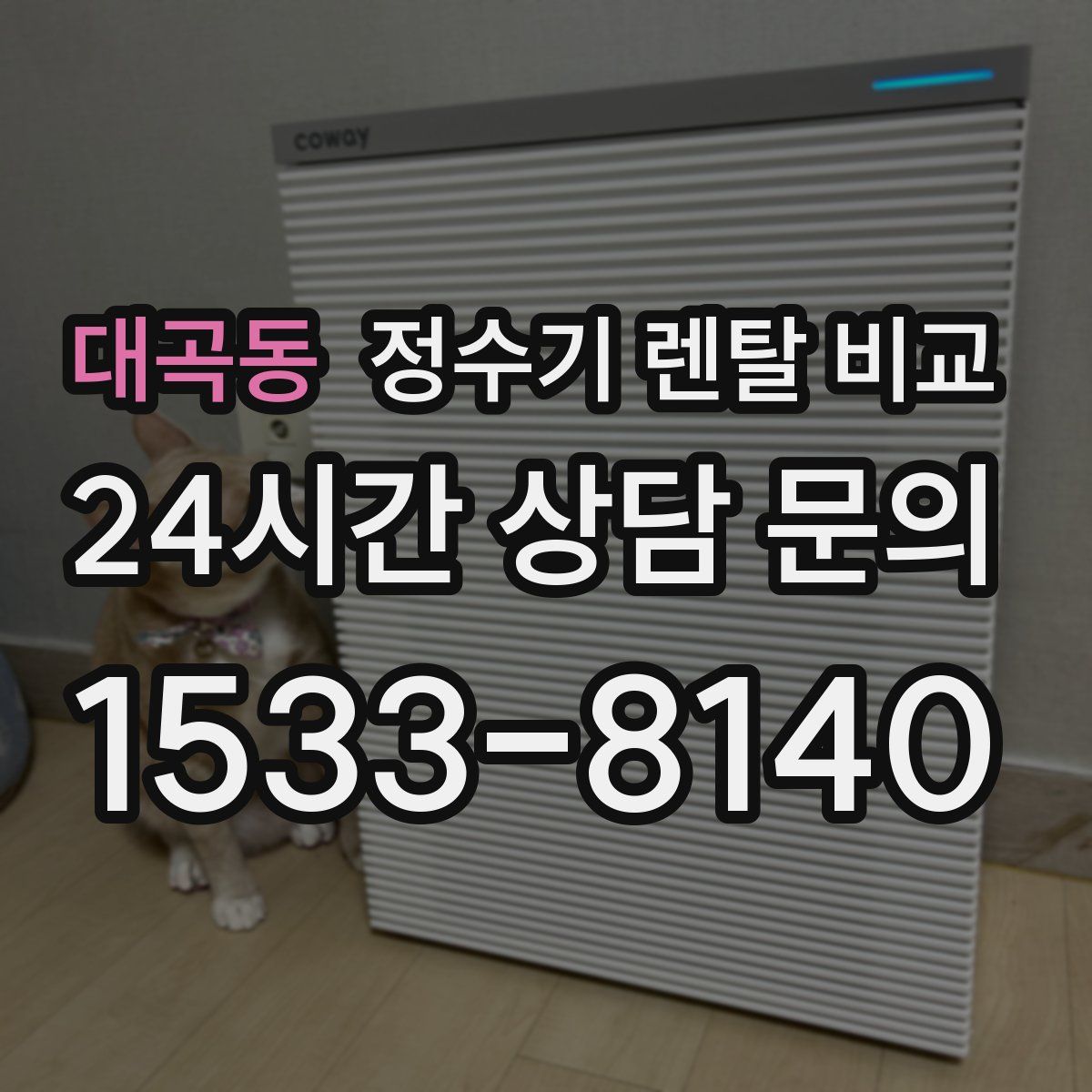 대곡동 정수기 렌탈 비교