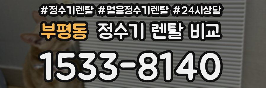 부평동 정수기 렌탈 비교