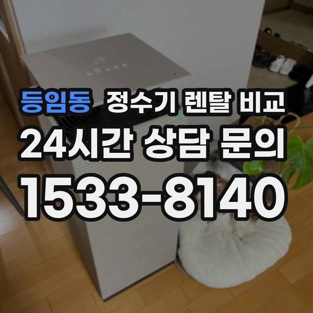 등임동 정수기 렌탈 비교