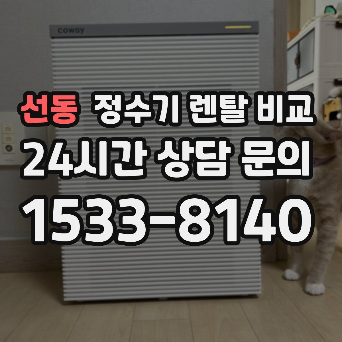 선동 정수기 렌탈 비교