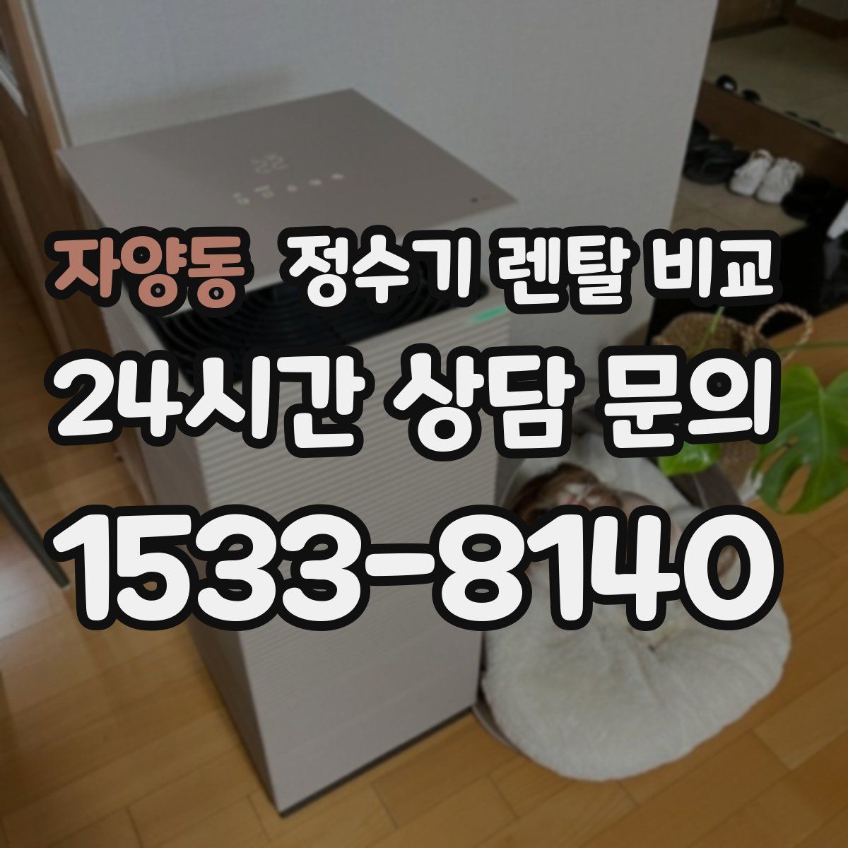 자양동 정수기 렌탈 비교