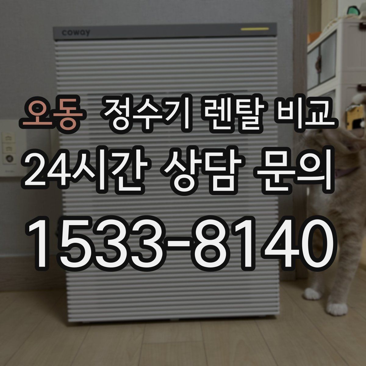 오동 정수기 렌탈 비교