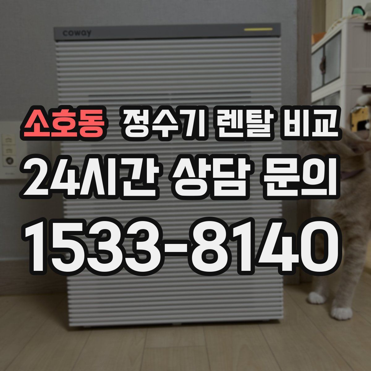 소호동 정수기 렌탈 비교