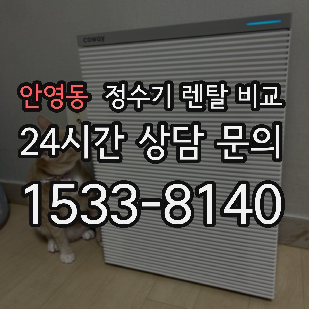 안영동 정수기 렌탈 비교