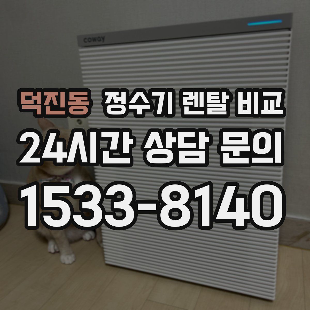 덕진동 정수기 렌탈 비교