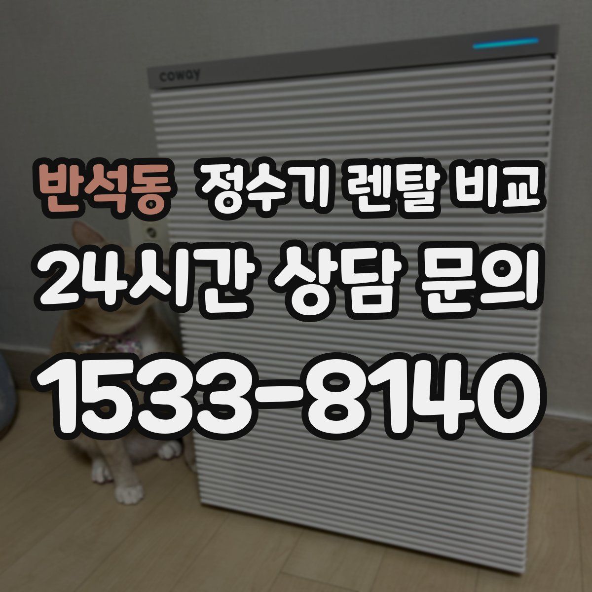 반석동 정수기 렌탈 비교