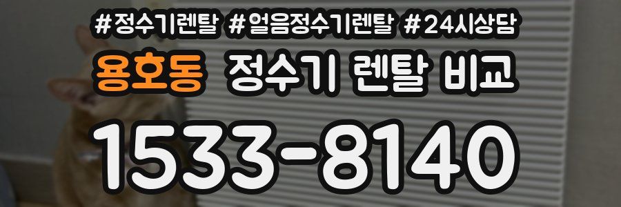용호동 정수기 렌탈 비교