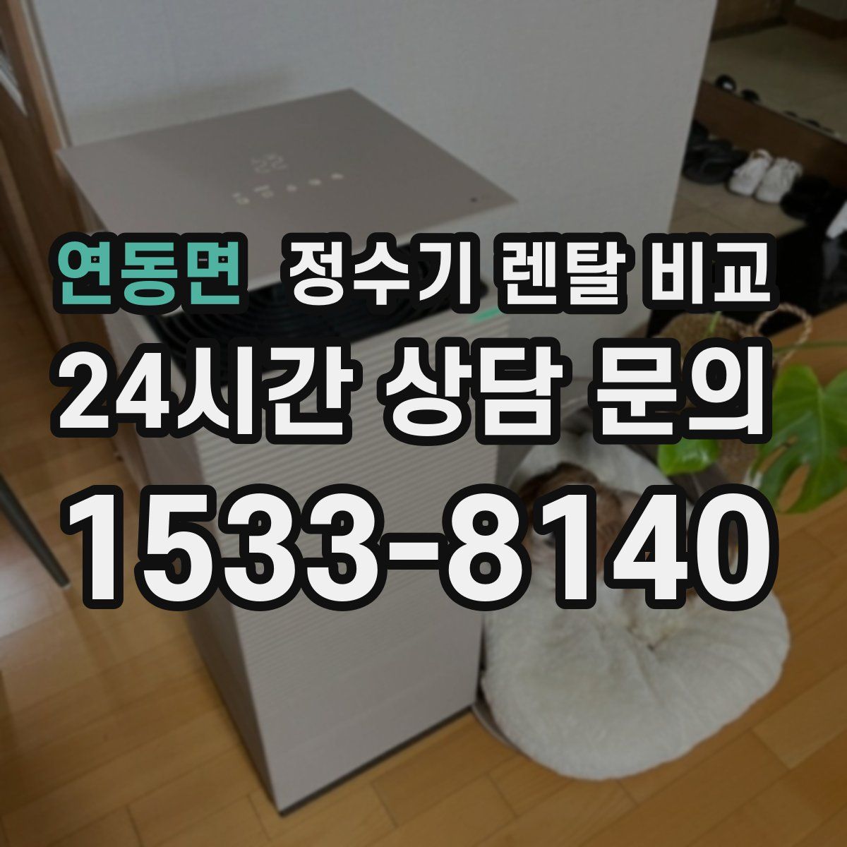 연동면 정수기 렌탈 비교