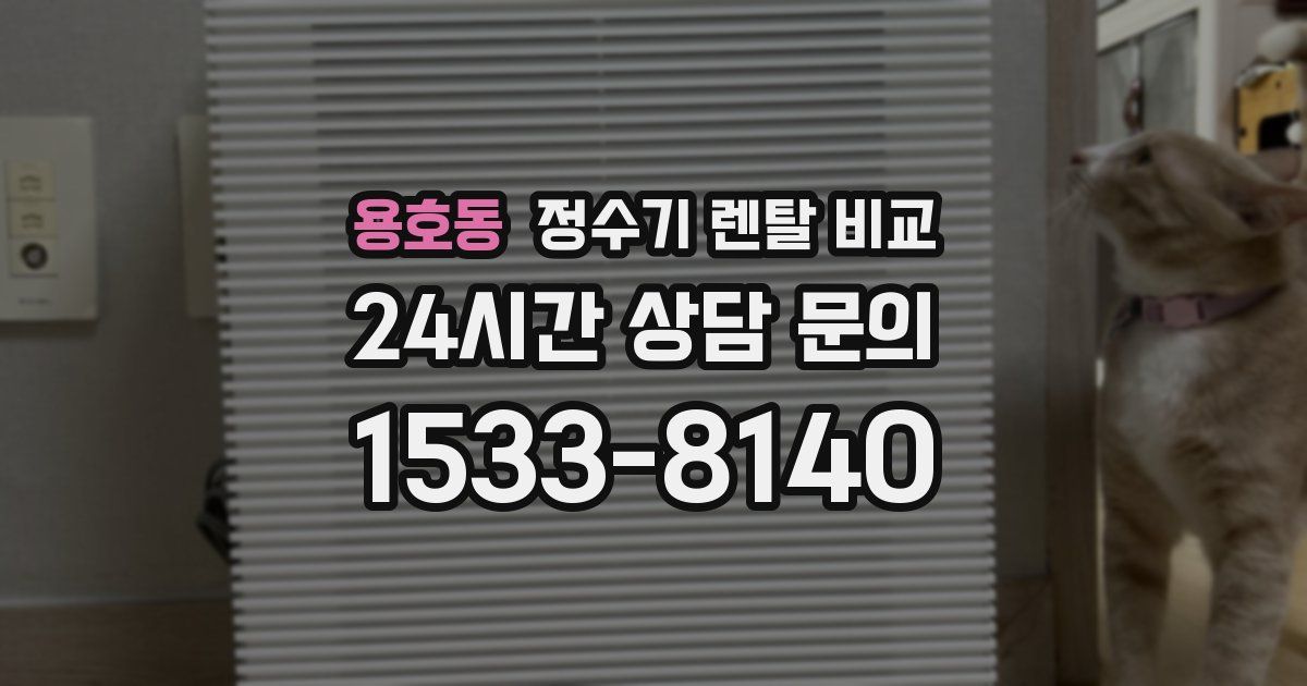 용호동 정수기 렌탈 비교
