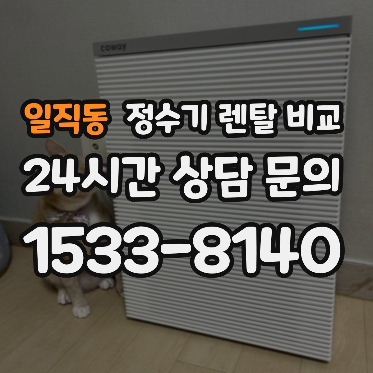 일직동 정수기 렌탈 비교