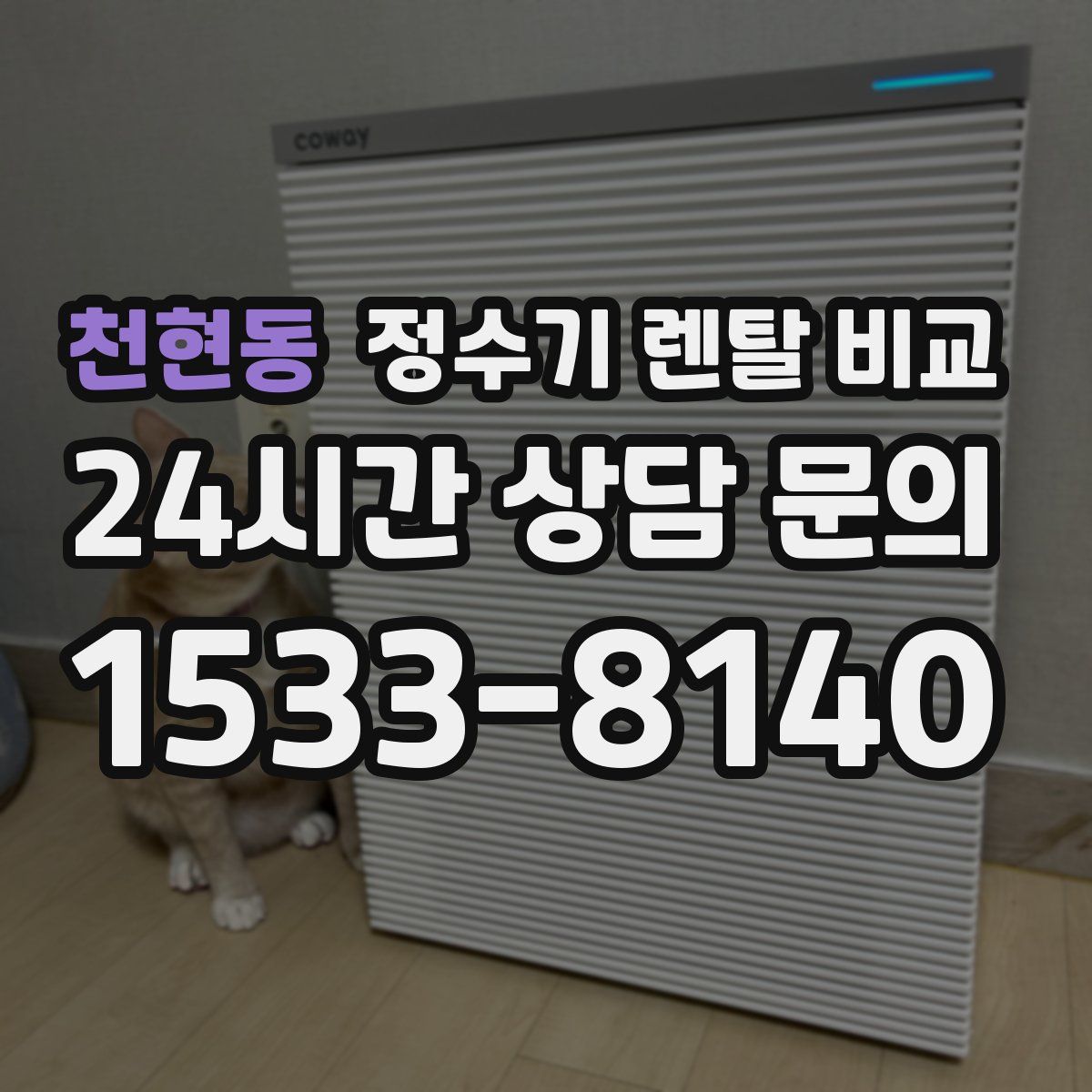 천현동 정수기 렌탈 비교