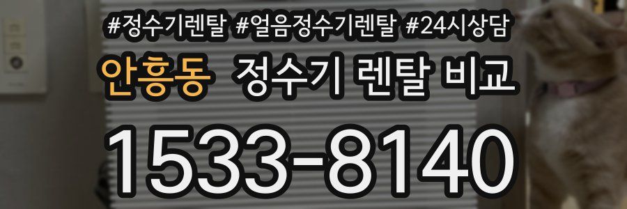 안흥동 정수기 렌탈 비교