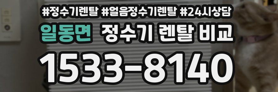 일동면 정수기 렌탈 비교