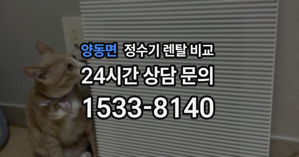 양동면 정수기 렌탈 비교