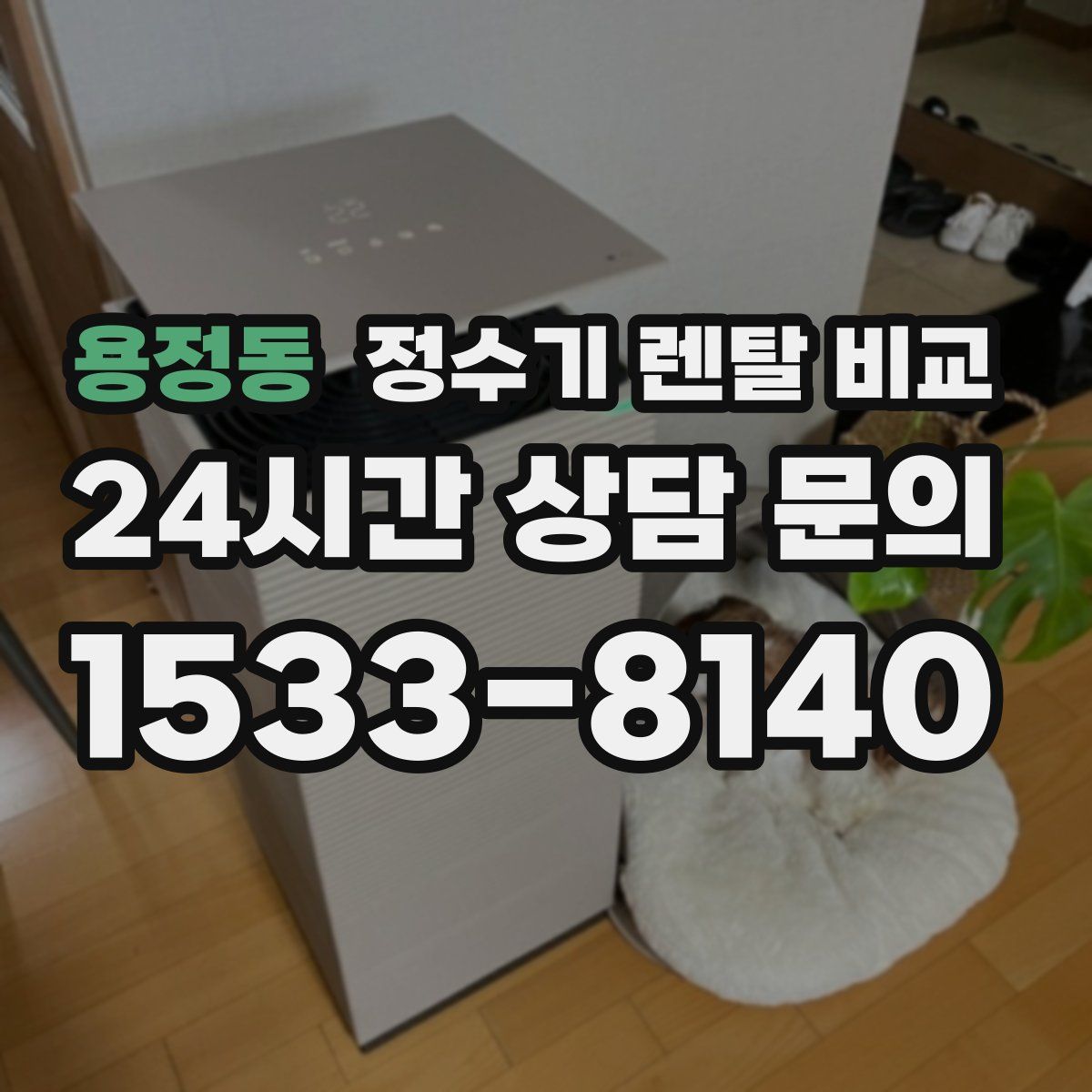 용정동 정수기 렌탈 비교