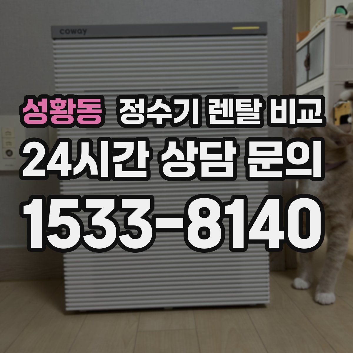 성황동 정수기 렌탈 비교