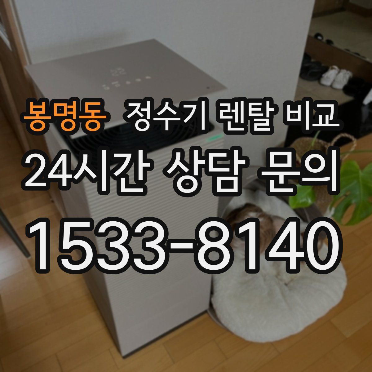 봉명동 정수기 렌탈 비교