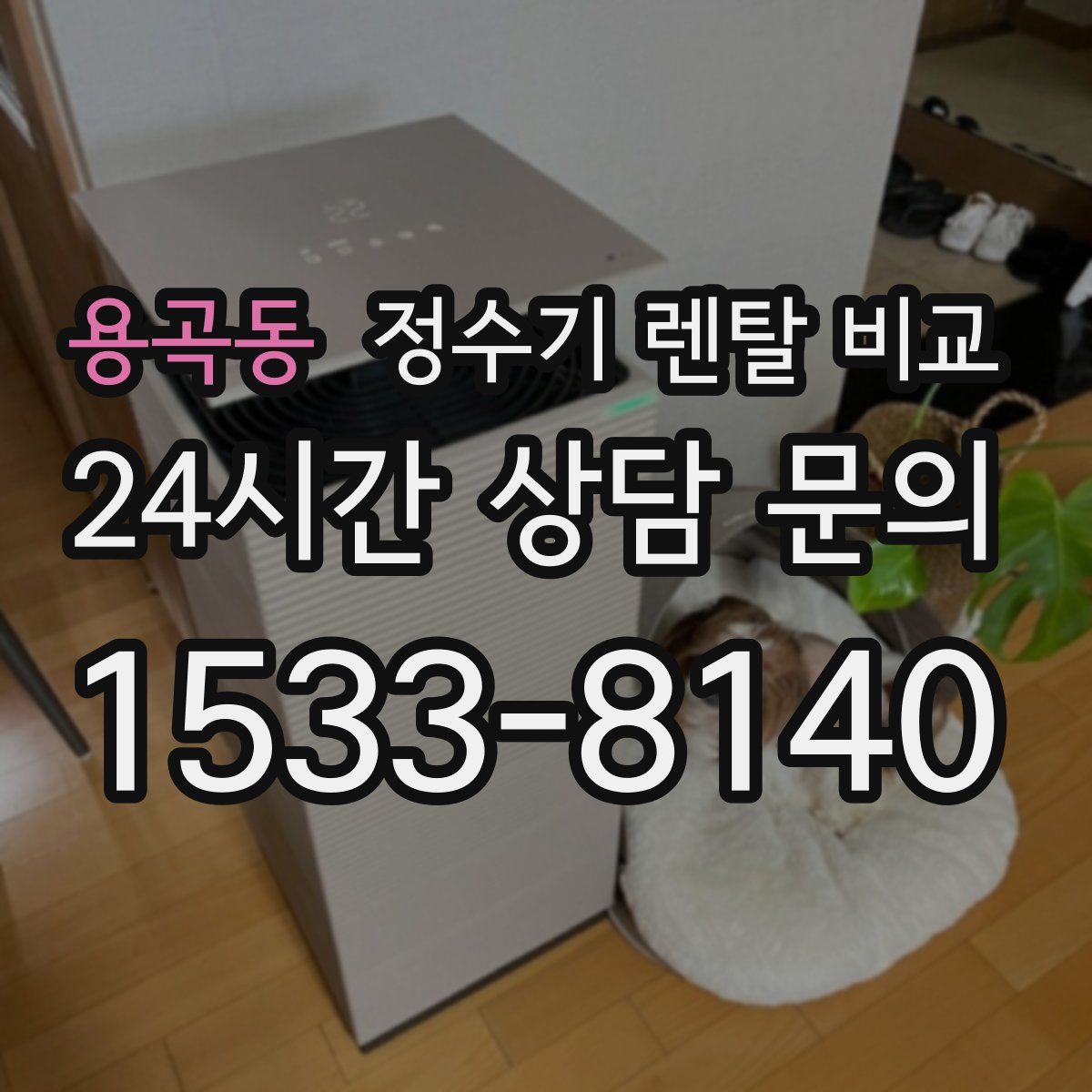 용곡동 정수기 렌탈 비교