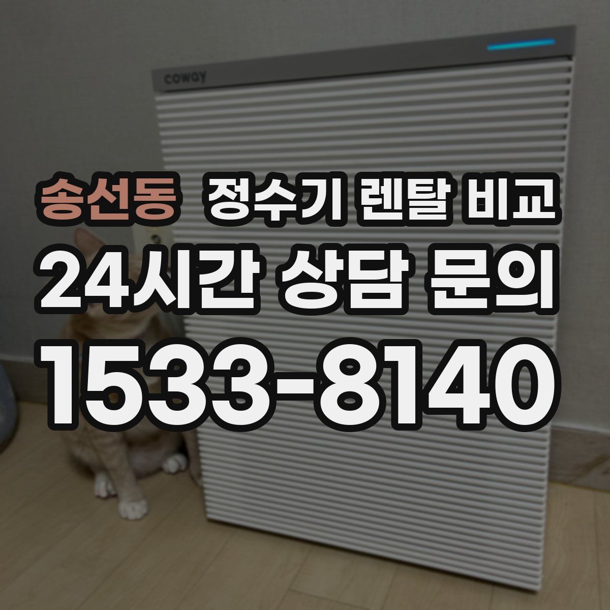 송선동 정수기 렌탈 비교