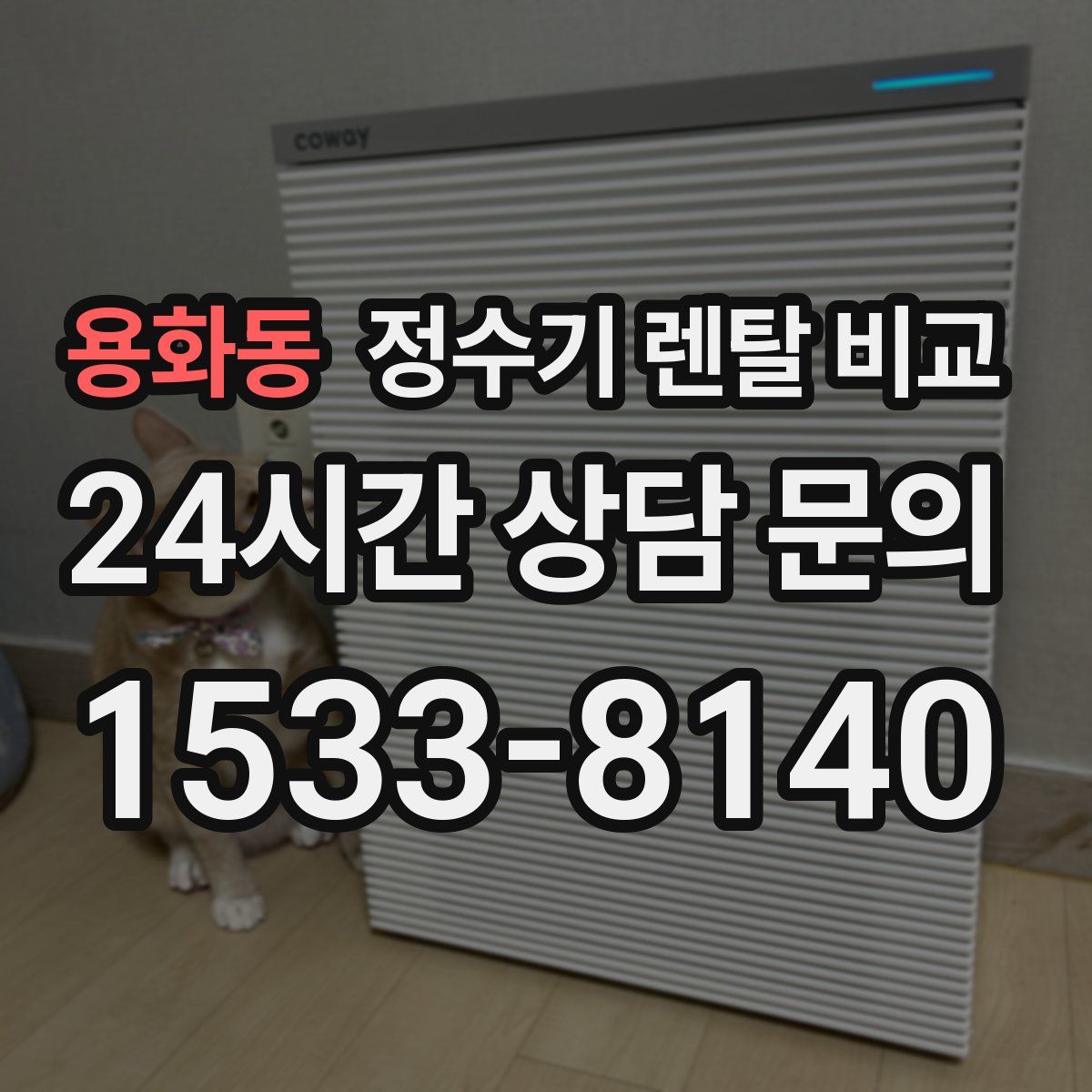 용화동 정수기 렌탈 비교