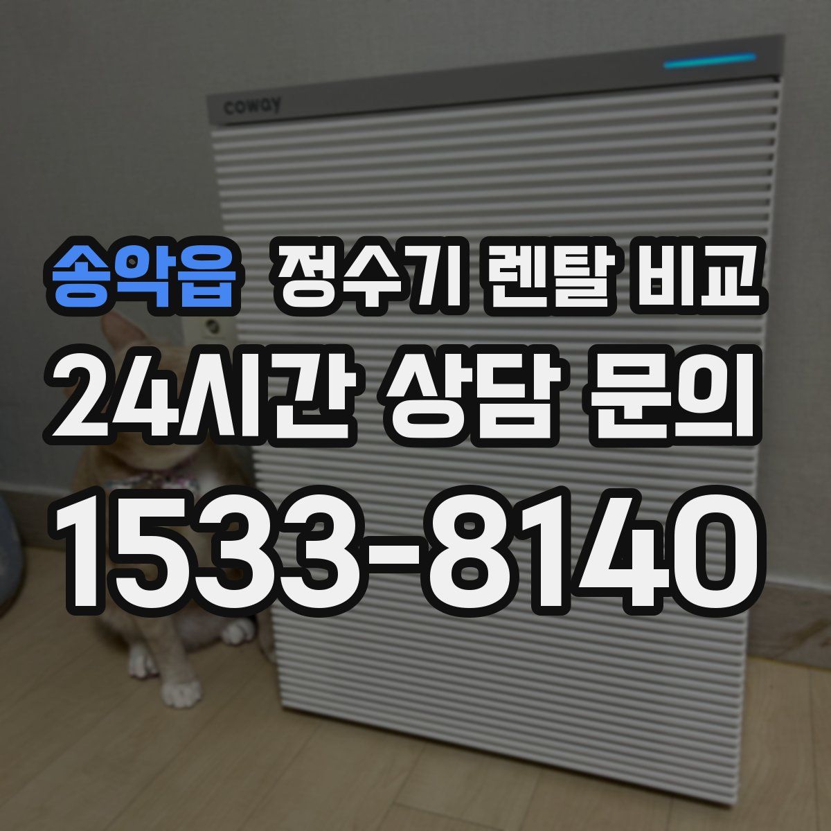 송악읍 정수기 렌탈 비교