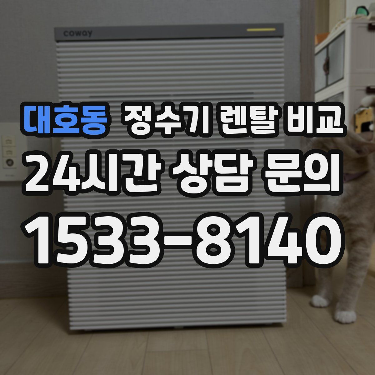 대호동 정수기 렌탈 비교