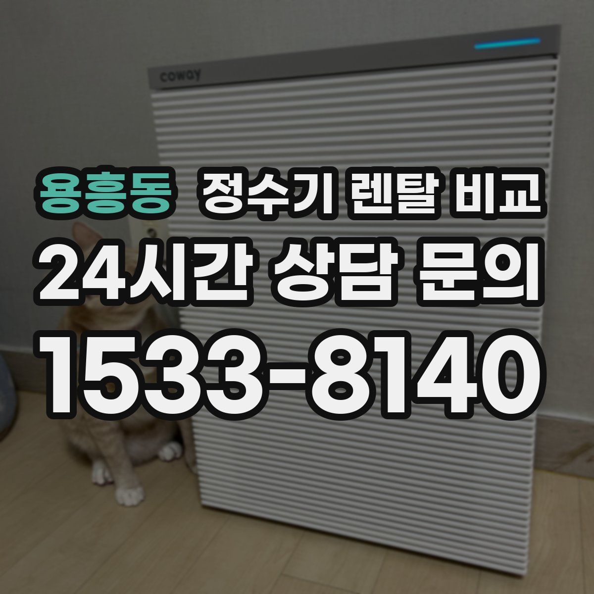 용흥동 정수기 렌탈 비교
