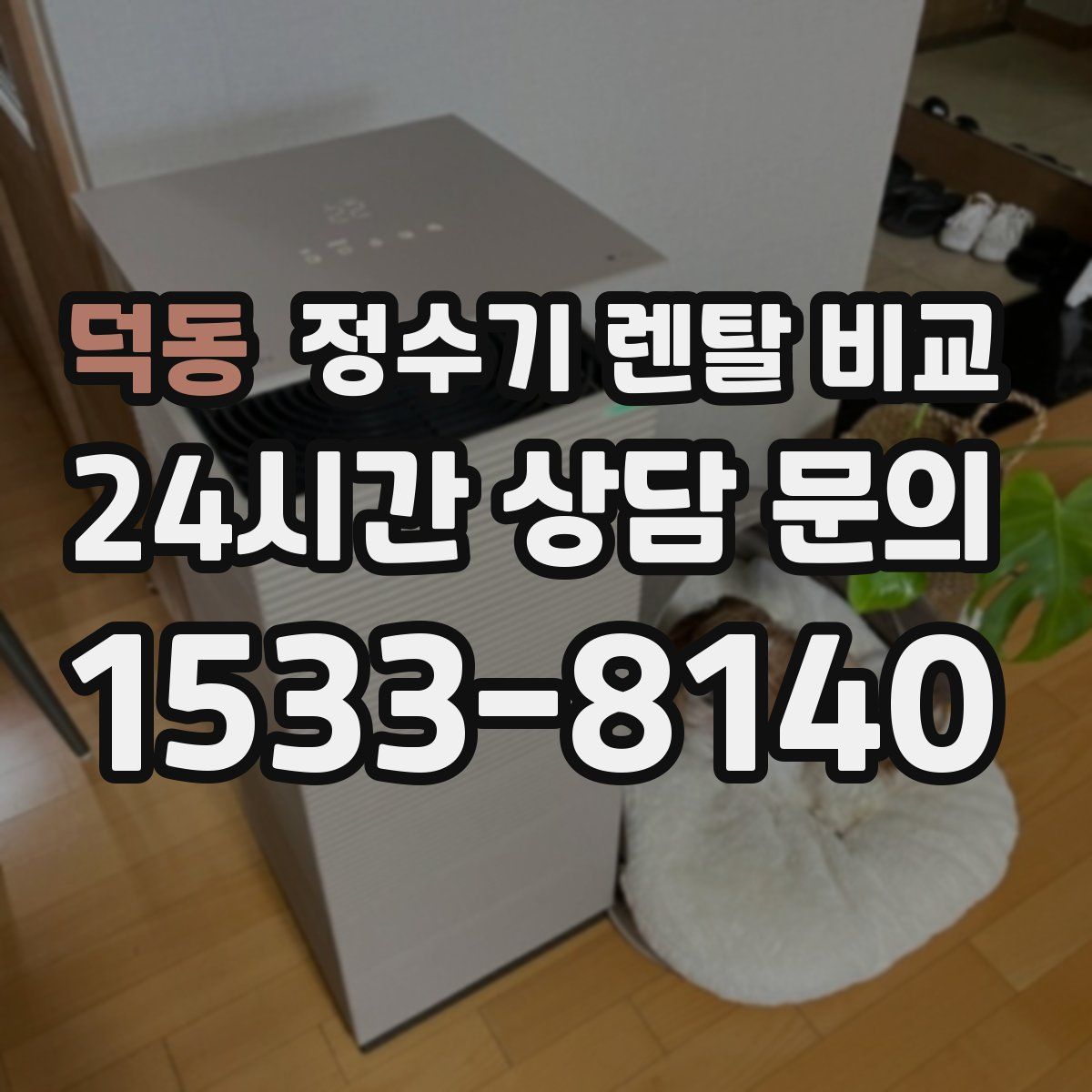 덕동 정수기 렌탈 비교