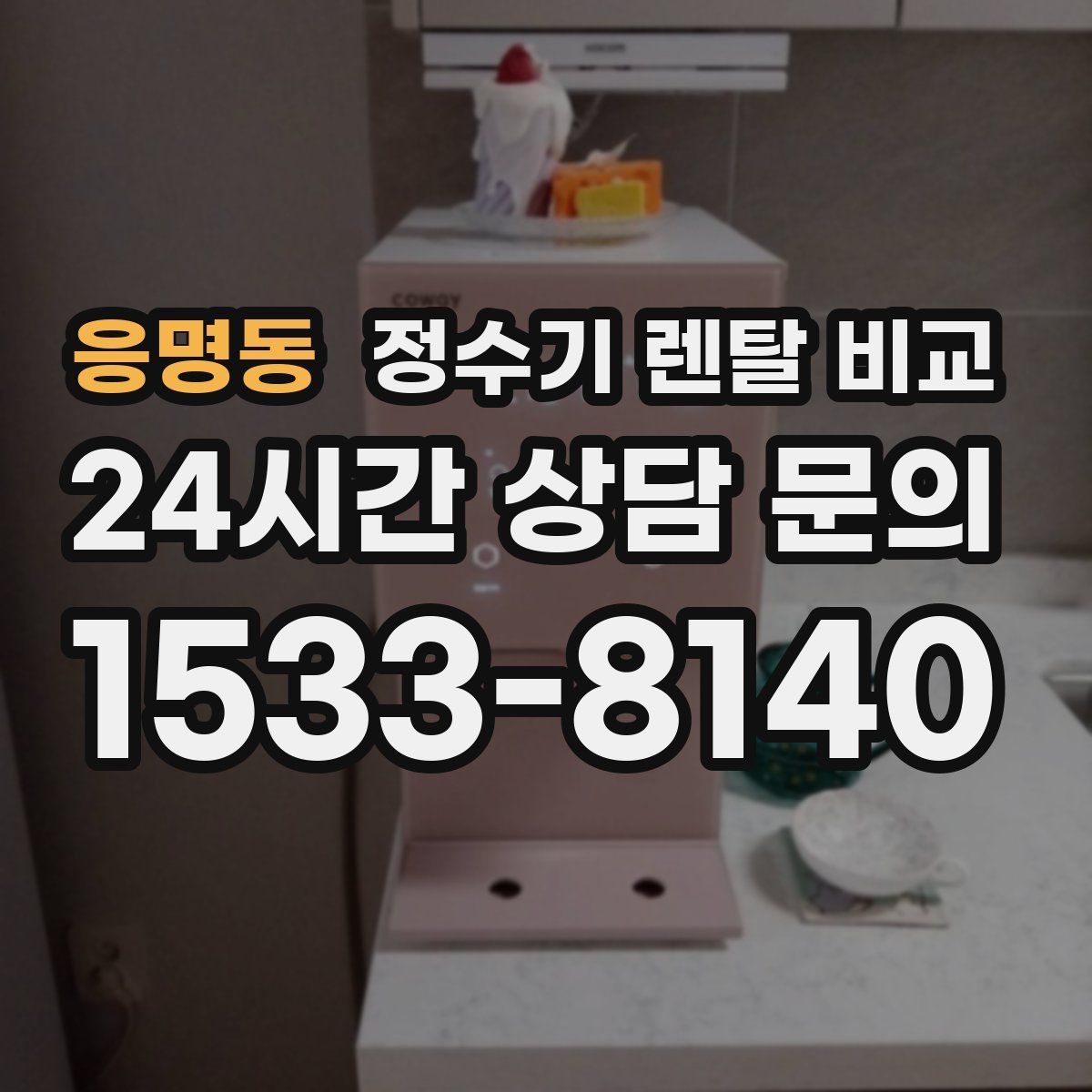 응명동 정수기 렌탈 비교