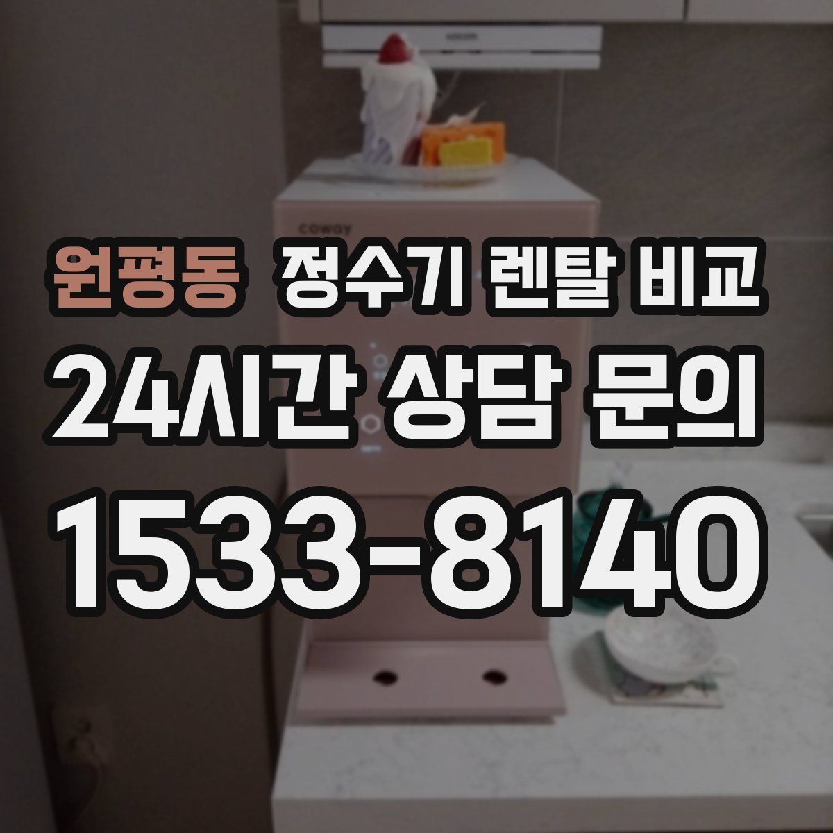 원평동 정수기 렌탈 비교