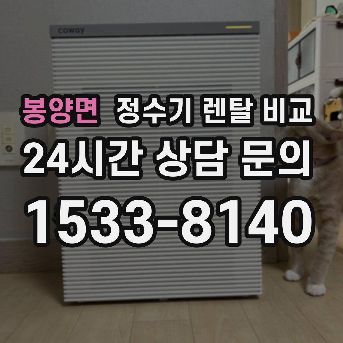 봉양면 정수기 렌탈 비교