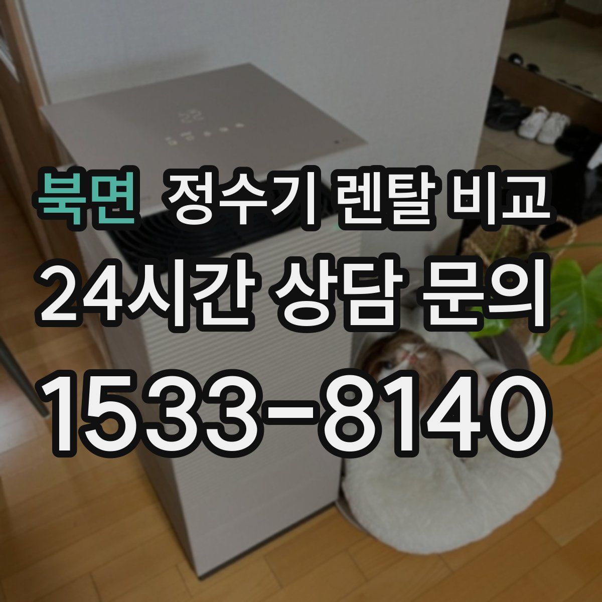 북면 정수기 렌탈 비교