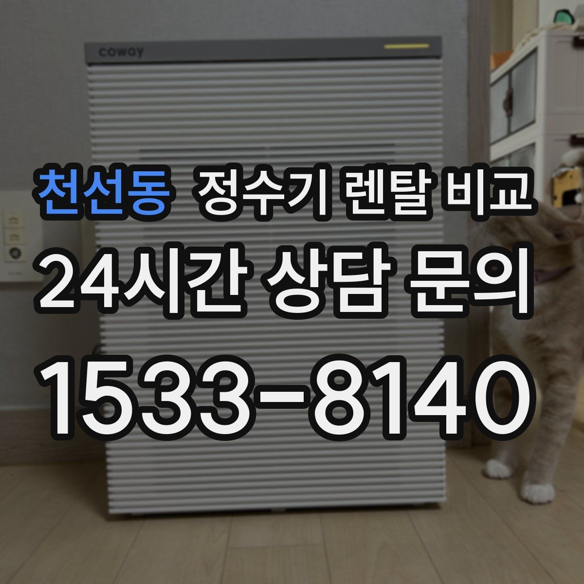 천선동 정수기 렌탈 비교