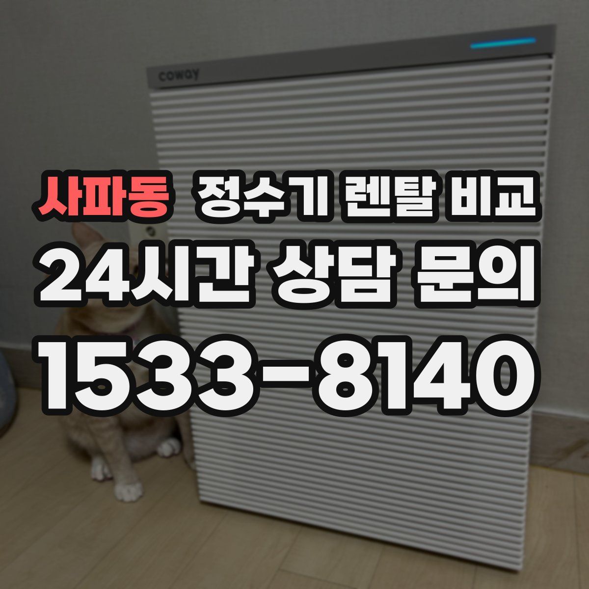 사파동 정수기 렌탈 비교