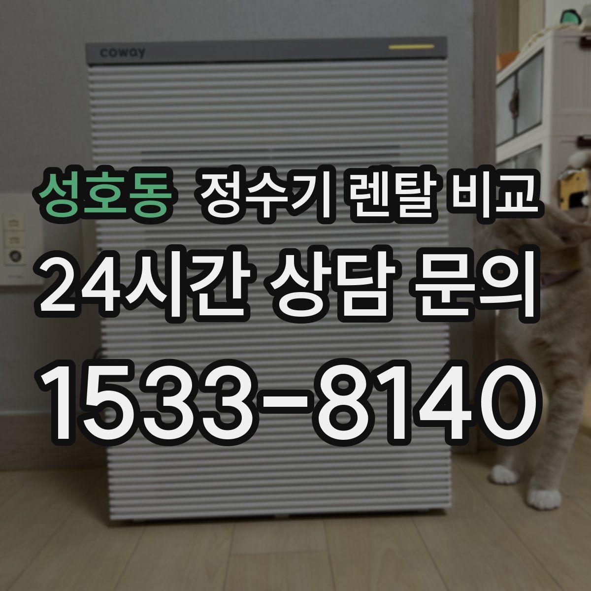 성호동 정수기 렌탈 비교