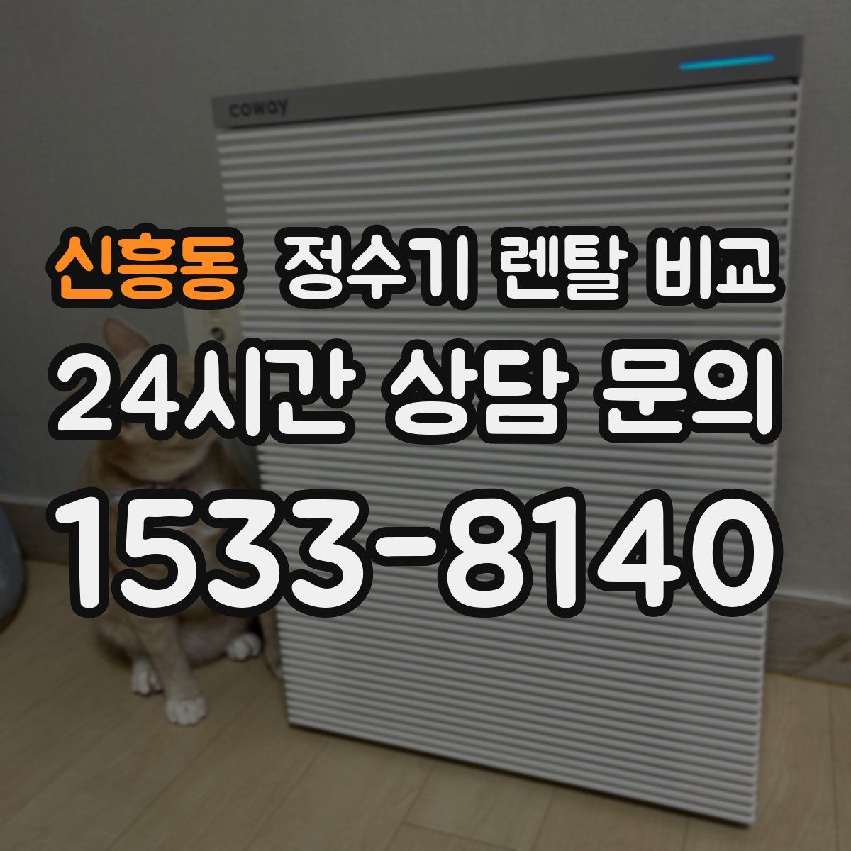 신흥동 정수기 렌탈 비교