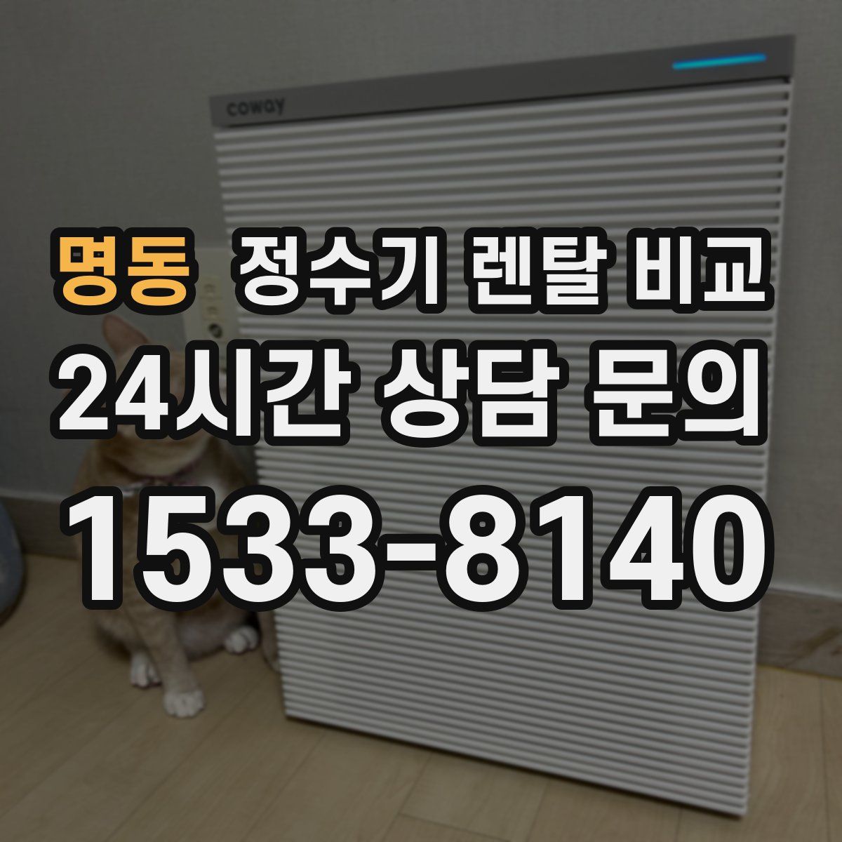 명동 정수기 렌탈 비교