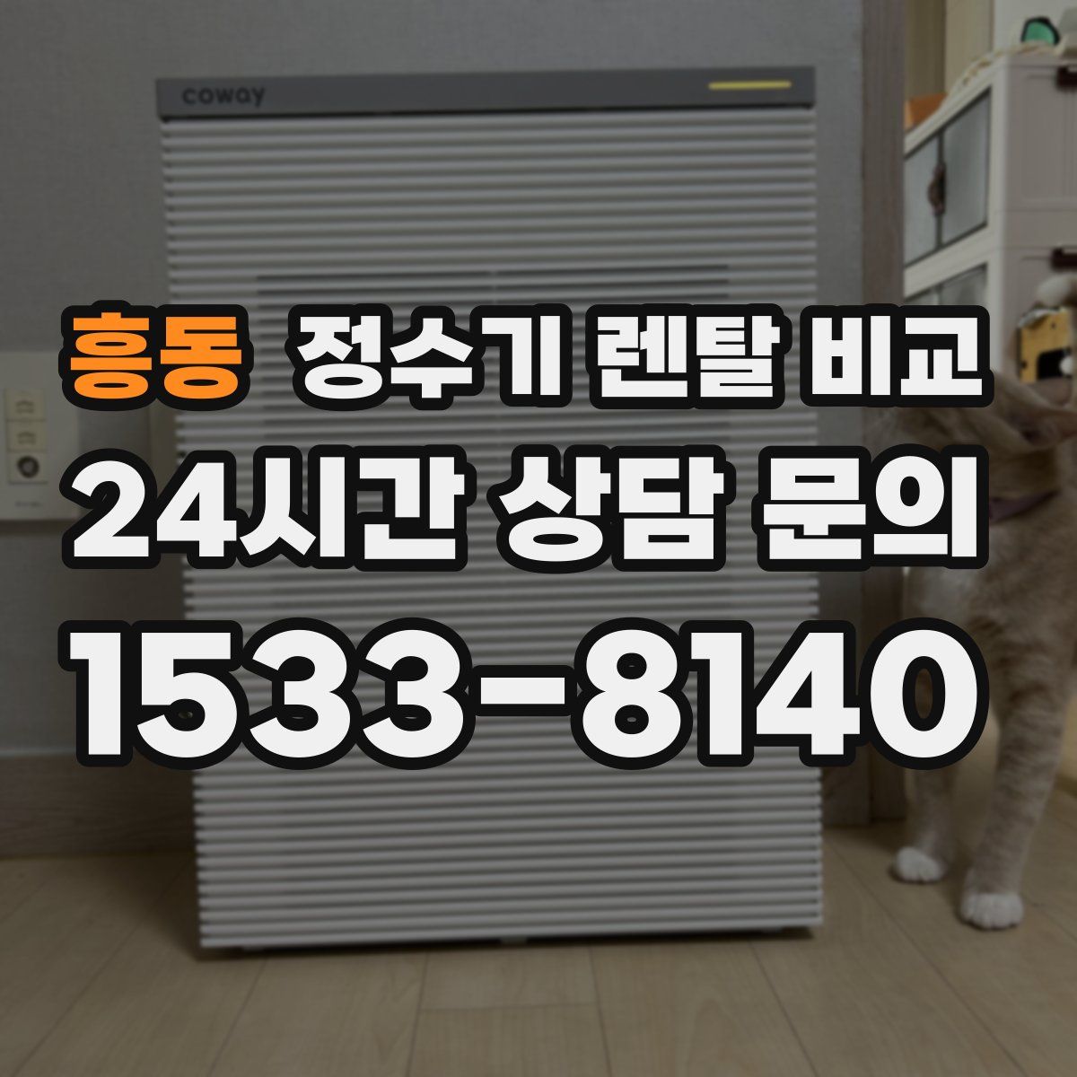 흥동 정수기 렌탈 비교