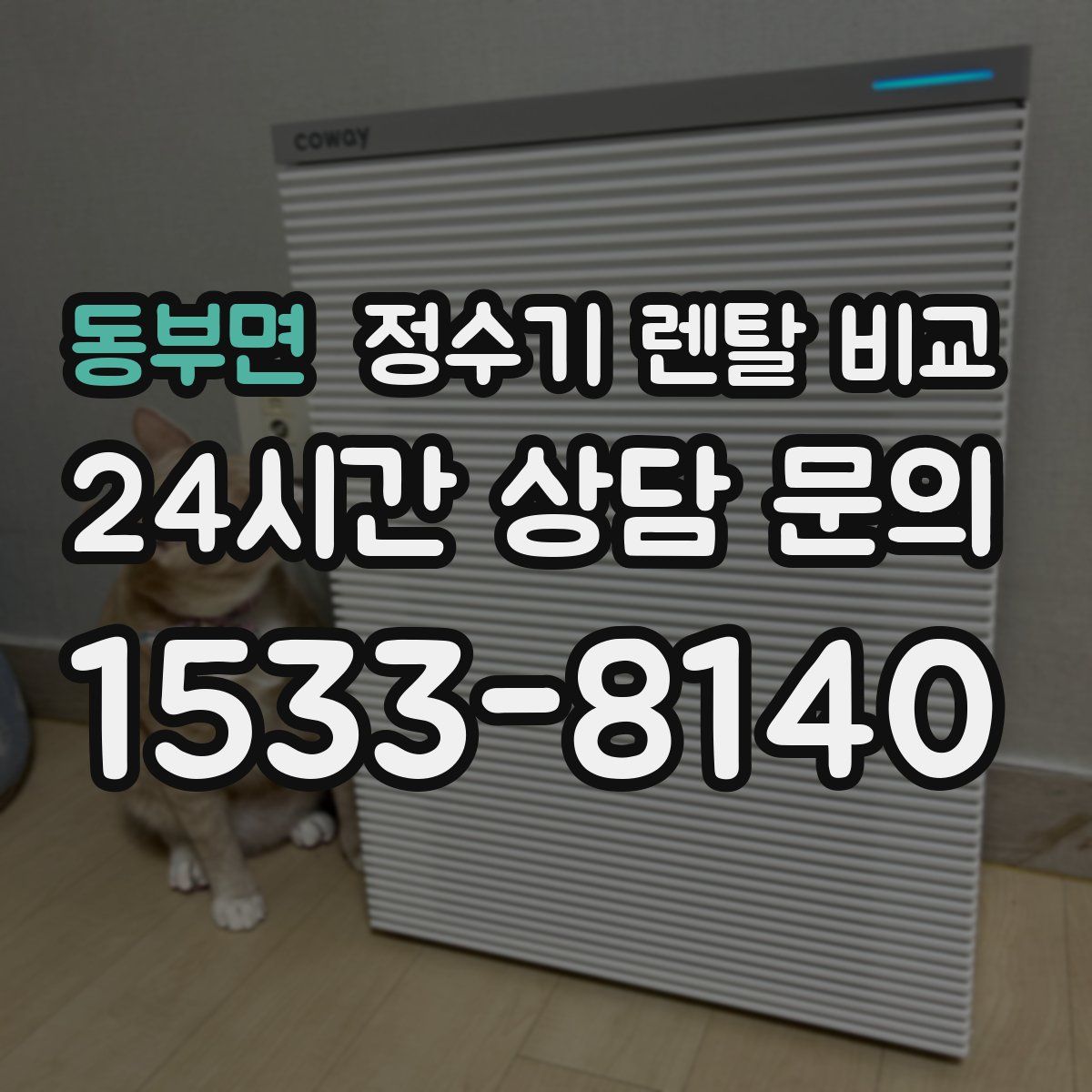 동부면 정수기 렌탈 비교